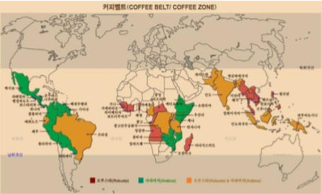  브라질VS콜롬비아V베트남 커피재배지역(Coffee Belt)