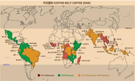 브라질VS콜롬비아V베트남 커피재배지역(Coffee Belt)