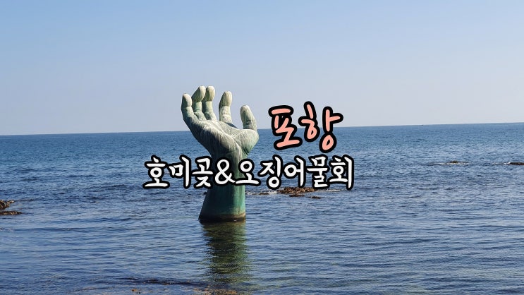  [포항]태종물회(오징어물회)먹고 해안도로드라이브