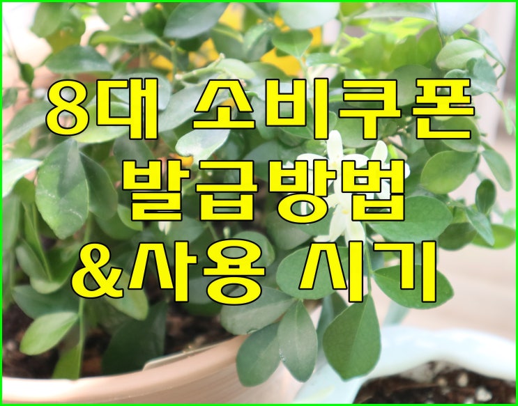  8대 소비쿠폰 지급 사용시기 다름 주의! 발급방법 관광숙박외식은?