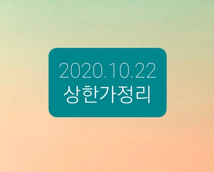 2020.10.22 상한가정리