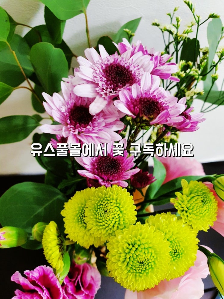  유스풀몰에서 꽃 구독하세요