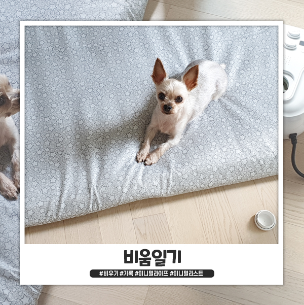 비움 기록 : 분리수거를 잘하자 비움 기록 : 분리수거를 잘하자