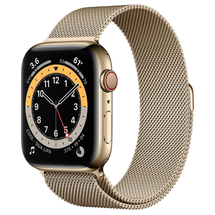  Apple 2020년 애플워치 6 GPS + 셀룰러 44mm, 골드 스테인리스 스틸(케이스), 골드 (밀레니즈 루프)