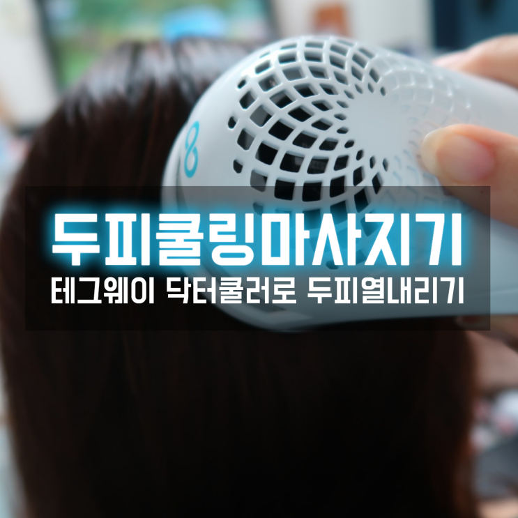  테그웨이 닥터쿨러 두피쿨링마사지기로 3초만에 두피열 내리기