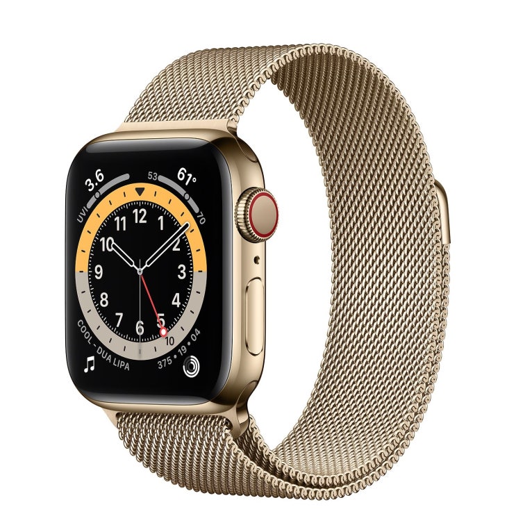  Apple 2020년 애플워치 6 GPS + 셀룰러 40mm, 골드 스테인리스 스틸(케이스), 골드 (밀레니즈 루프)
