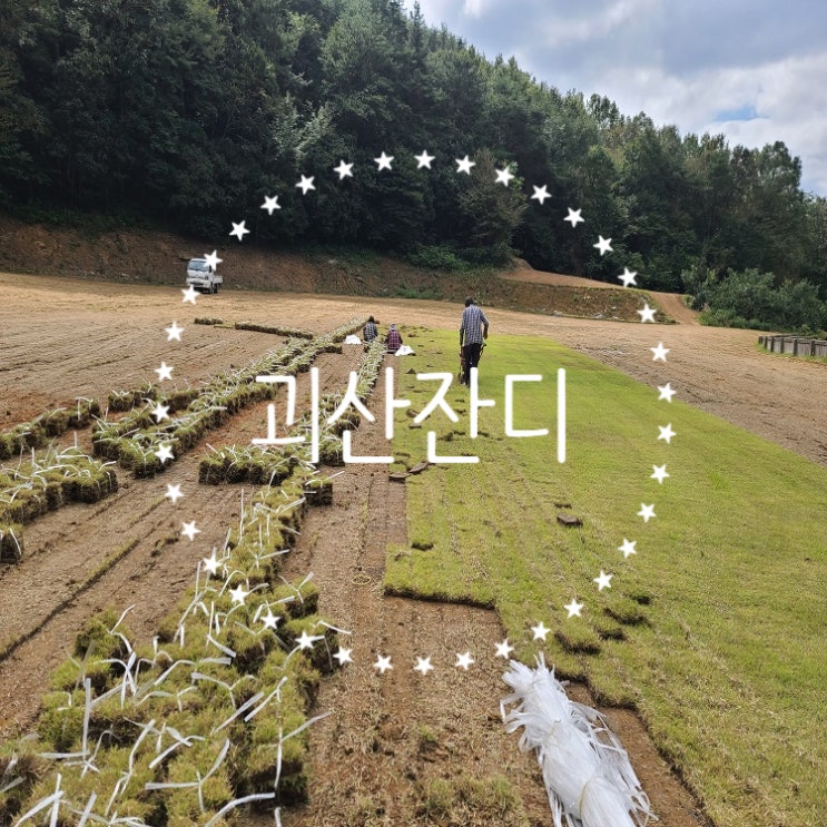  충청북도 중앙 괴산 잔디 배달