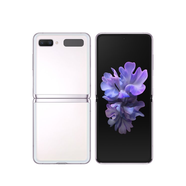  삼성전자 갤럭시 Z 플립 5G SM-F707, 공기계, 미스틱 화이트, 256GB