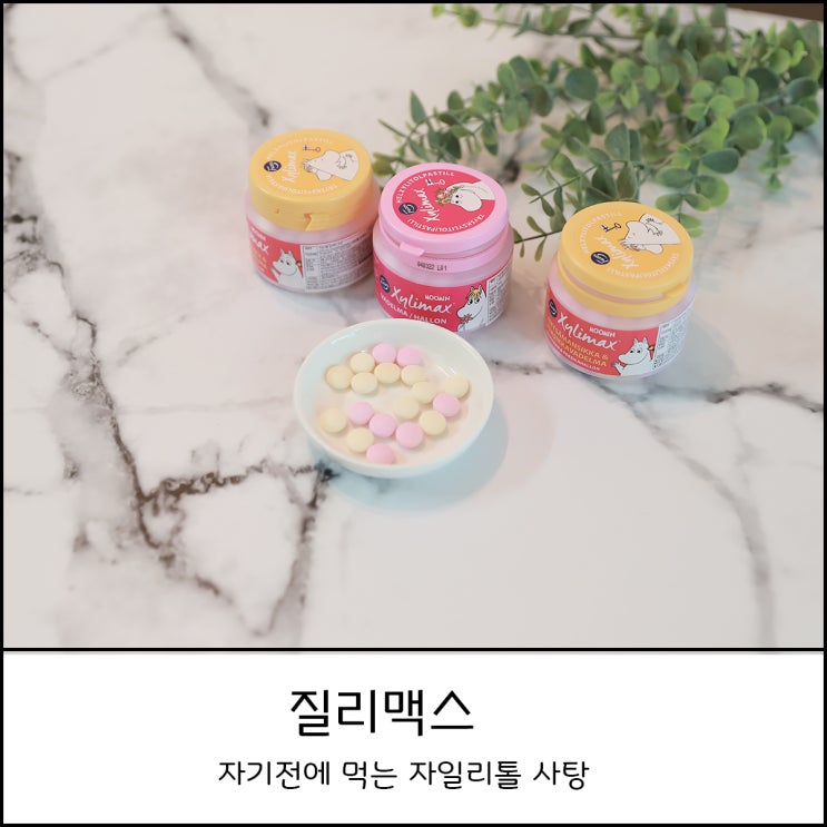  질리맥스 양치후 자기전에 먹는 자일리톨 사탕을 소개합니다(feat. 리틀미이, 무민)