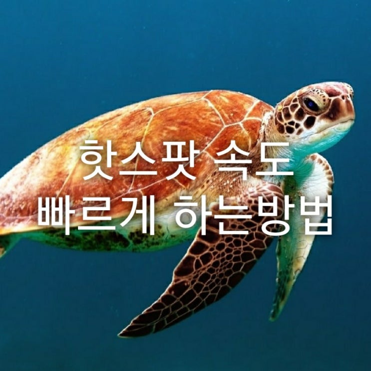  핸드폰 꿀팁 핫스팟 속도 빠르게 설정하기