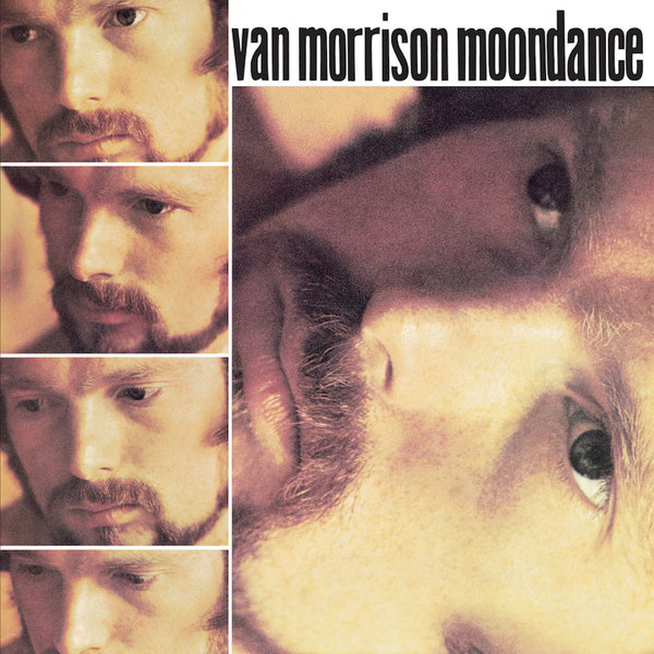 Van Morrison - Moondance [듣기, 노래가사, Audio, LV]