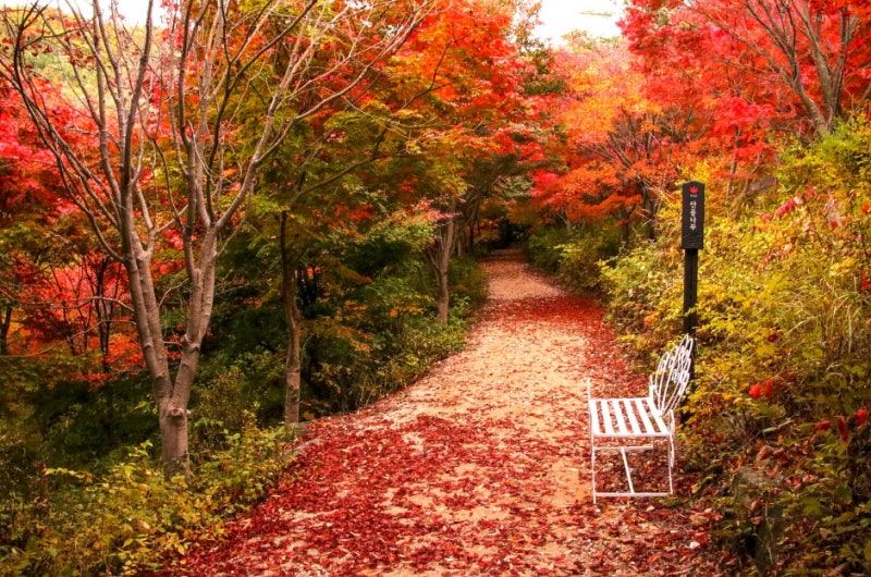 안전하게 즐기는 가을 비대면 관광지 100선/가을 정취 가득한 단풍여행(한국관광공사 선정 가을 관광지) : 네이버 블로그