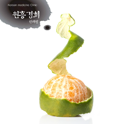  귤껍질(陳皮)도 약이 된다
