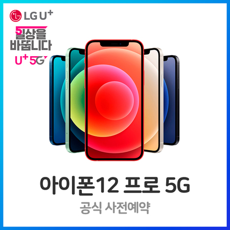  [멸치쇼핑]아이폰12 프로 256G LG완납(기변/선약)스탠다드, 상세페이지 참조, 상세페이지 참조