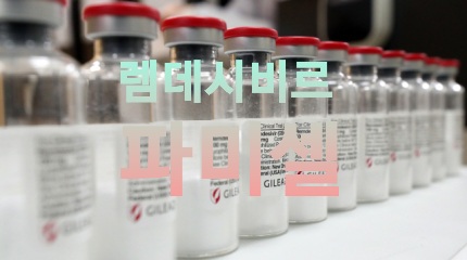 렘데시비르 관련주 파미셀 맥스로텍..