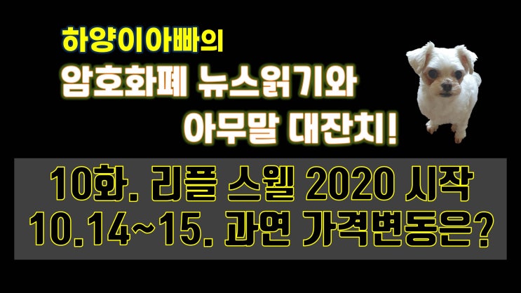  [아무말대잔치] 10화. 리플 스웰 2020 시작 10.14~15. 과연 가격변동은? (Feat.하양이아빠)