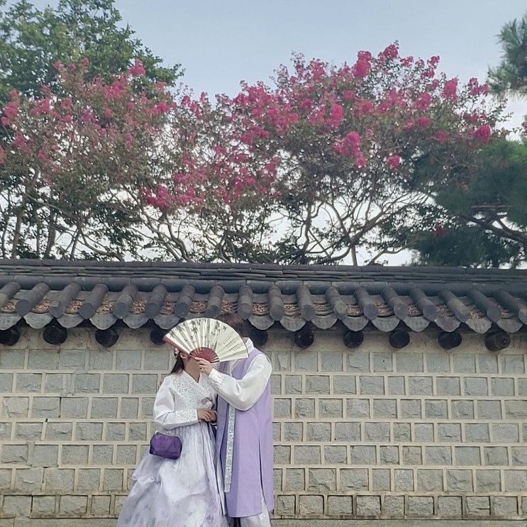  [전주여행] 한옥마을/일상애 한복/ 길거리음식(문강정,마약육전,임실치즈닭꼬치,행운의돌림판,풍년제과,길거리아)