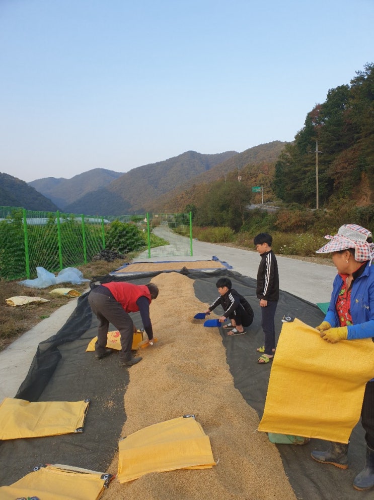  볍씨말리는 날