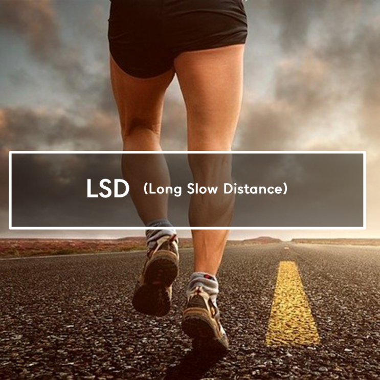  풀코스를 준비를 위한 장거리 연습, LSD 훈련