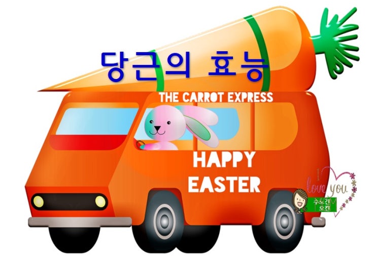  당근의 효능/당근을 먹는방법을 소개합니다^^