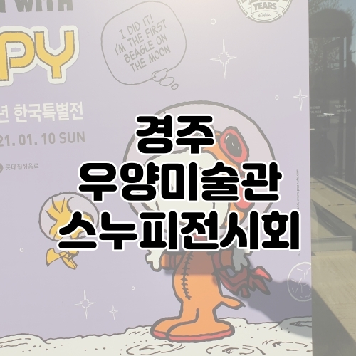  경주 스누피전시회보러 우양미술관 아이랑다녀왔어요