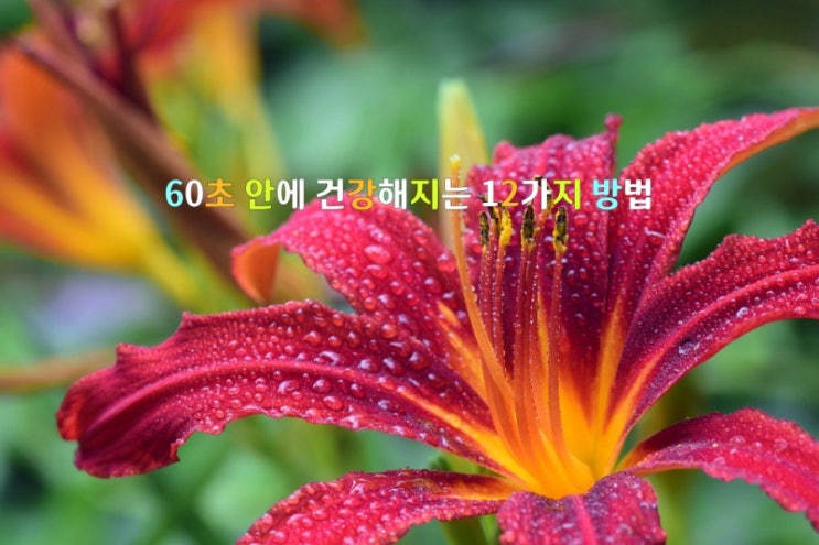 60초 안에 건강해지는 12가지 방법