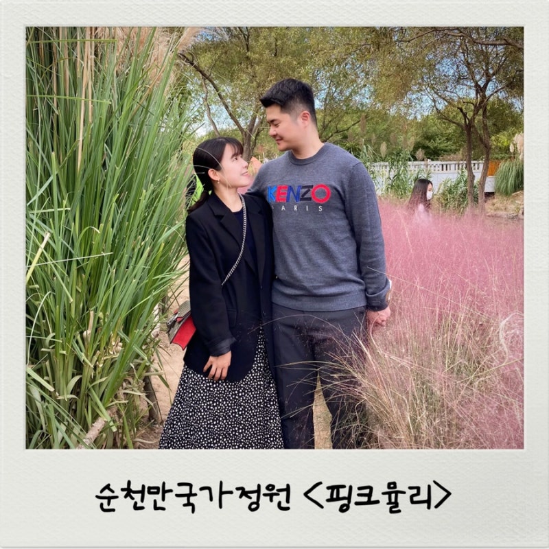 순천만국가정원 핑크뮬리 보고왔어요!