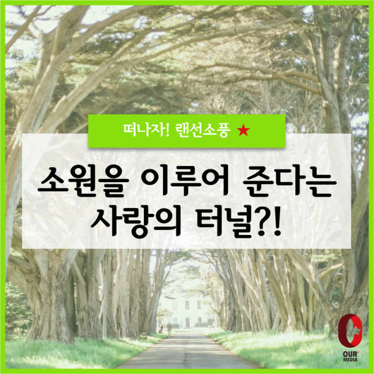 [랜선소풍] 세계적으로 '핫한' 낭만가득 가로수길 명소, 어디?