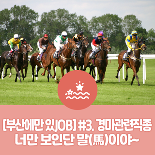 [부산에만 있JOB] #3. <b>경마</b> 관련 직종. 너만 보인단 말(馬)이야~