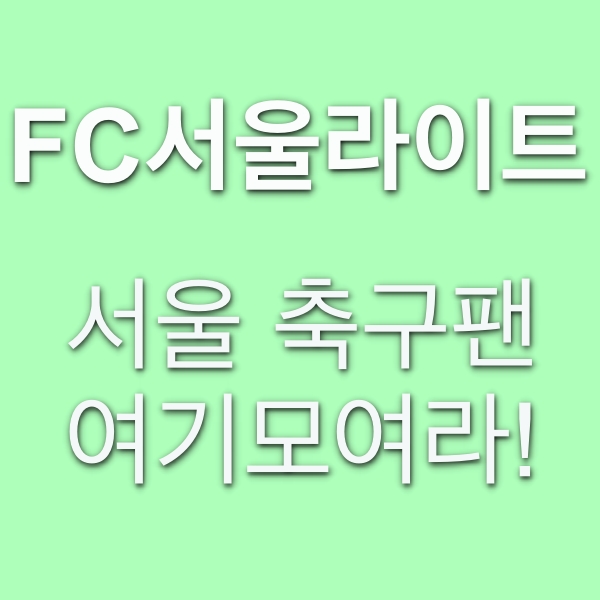FC서울라이트, 서울축구팬을 위한 커뮤니티