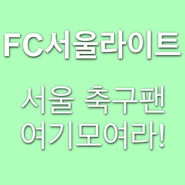  FC서울라이트, 서울축구팬을 위한 커뮤니티