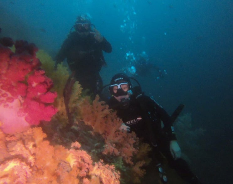 가을 제주 오픈워터 제주 스킨스쿠버 펀다이빙 교육 체험 바다 수온이 도와주고 있다
