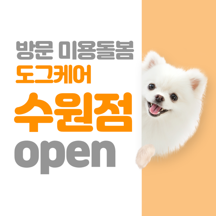  도그케어 수원점 오픈!