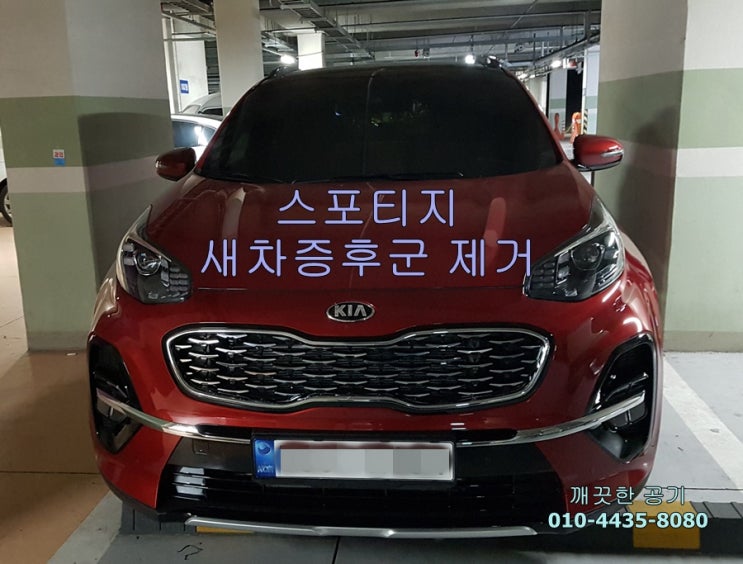  대전 서구 스포티지 구입 후 신차냄새 없애는 방법, 새차증후군 제거 - 깨끗한 공기 만들기