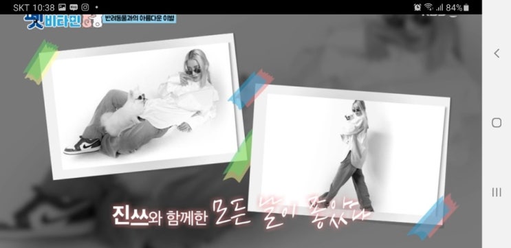  반려 가족을 위한 ‘펫비타민’ 2회, 가수 황보와 진쓰의 노견 일기