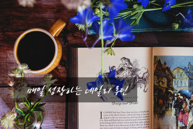  하루 15분 투자로 성장하는 데일리 루틴 만들기 (짱쉬운 워드 키보드 필사 하기)