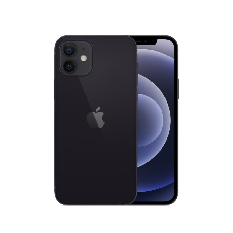 Apple 아이폰 12, 공기계, Black, 256GB