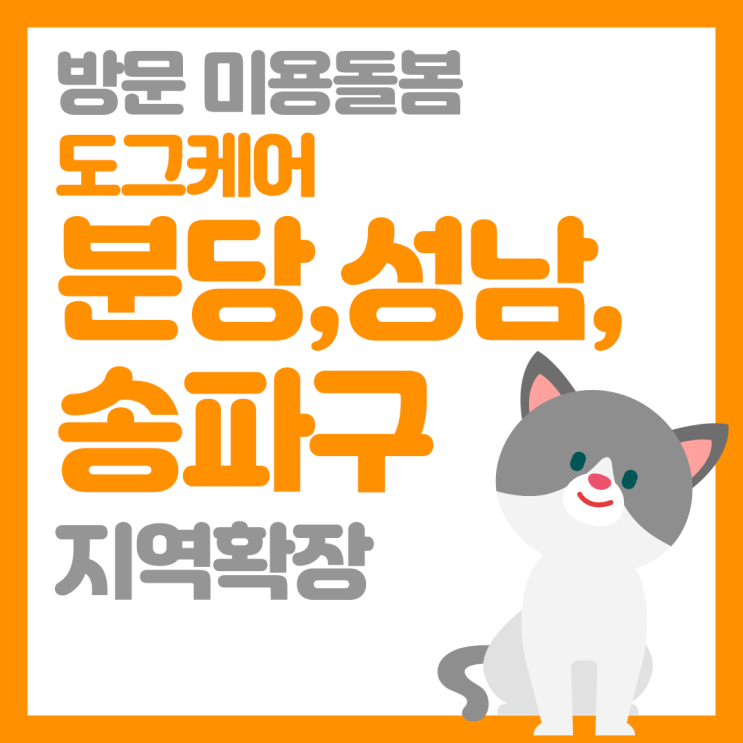  도그케어 분당, 성남, 서울 송파구 방문 미용돌봄(펫시터) 런칭!