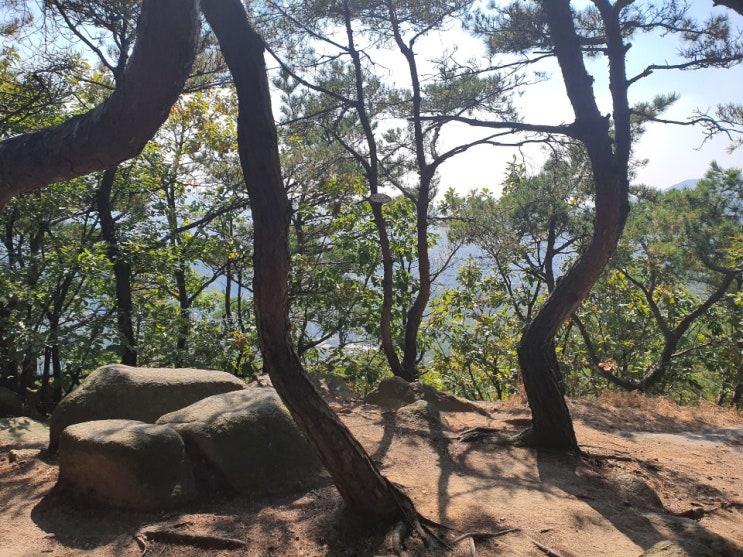  새로운 것들이 보이는 토요트렉 힐링타임
