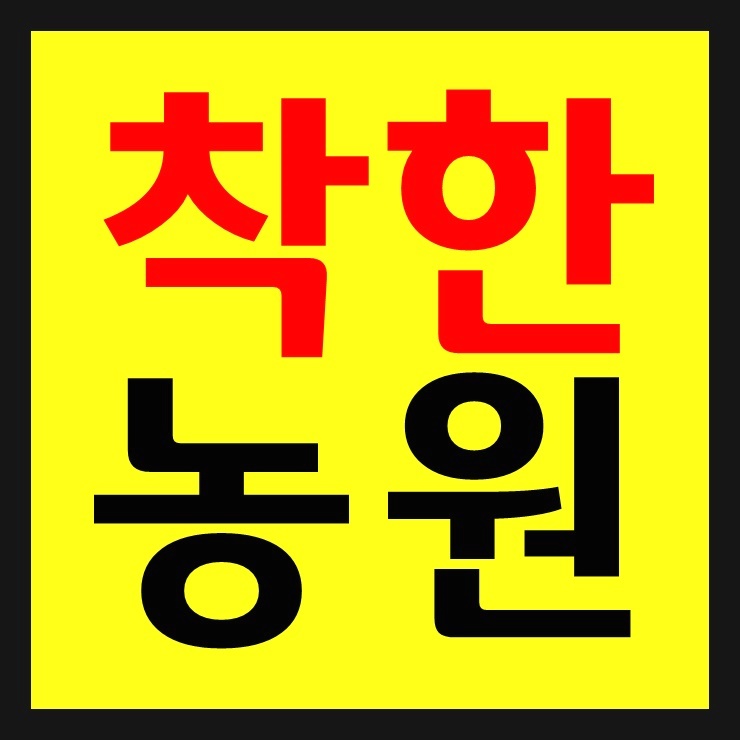 모로코 식용 아르간오일 효능 부작용 없는 먹는 법 추천!