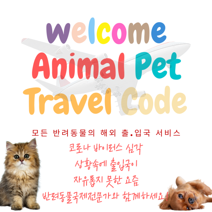 미국에서 강아지 고양이 웰시코기 한국입국 항체검사 계류장 격리검역 항체검사후 반려동물 픽업서비스