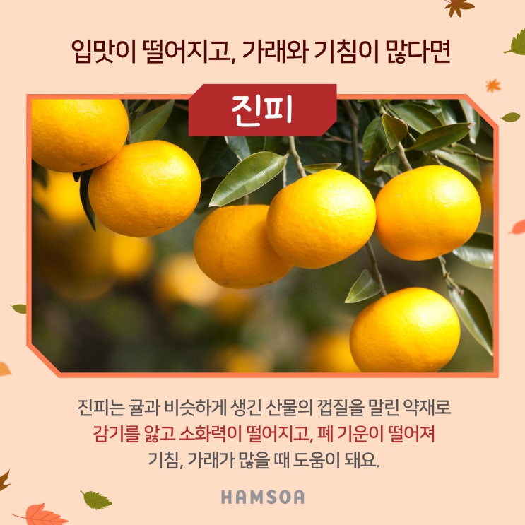  동작함소아:: 감기예방에 좋은 한방차