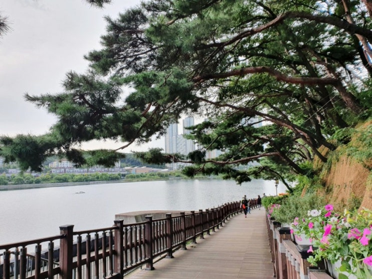  광교 호수공원 마천루 및 주변시세
