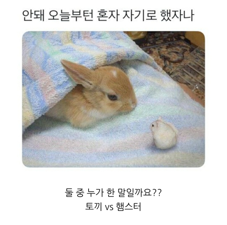  안돼 오늘부턴 혼자 자기로 했자나
