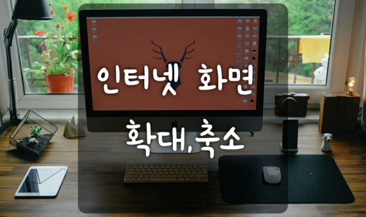  [전쌤 홈 컴퓨터] 인터넷 화면 확대/축소, 시작페이지 설정