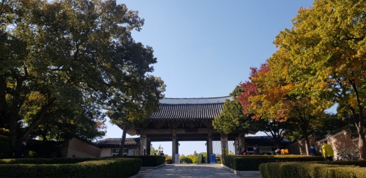  대구 명소 데이트 코스, 달성공원(동물원, 관풍루, 향토역사관, 단풍)