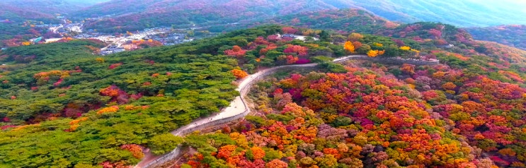 서울 근교 수도권(경기도) 가을 단풍 구경 드라이브 코스 추천! 단풍 명소 by 오토멘토