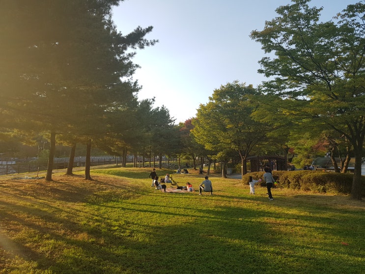  수원 나들이 하기 좋은 곳, 서호 수변에 자리한 '서호공원' 방문기