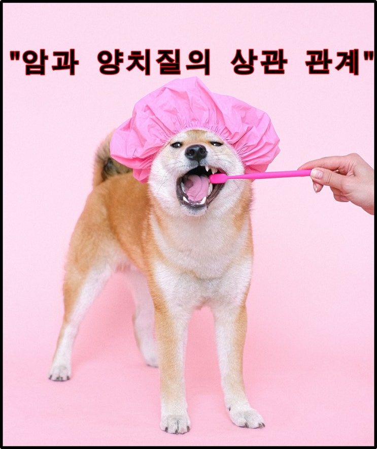 암과 치매에 안 걸리려면 올바른 양치질을 해야한다.