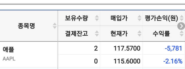  애플 주식 사보기 2020.10.23